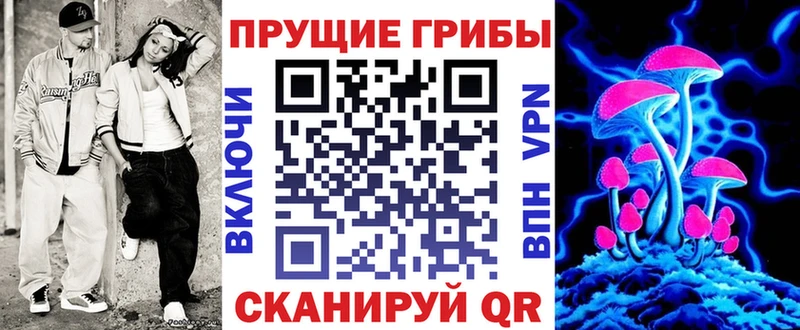 сколько стоит  Ардатов  Галлюциногенные грибы MAGIC MUSHROOMS 